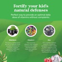 natures-craft-sambucus-elderberry-gummie-5.jpg