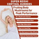 reishi-mushroom-gummies-cortisol-supplem-5.jpg