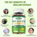 2-pack-mullein-gummies-for-lungs-mullein-2.jpg