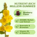 2-pack-mullein-gummies-for-lungs-mullein-3.jpg