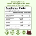 2-pack-mullein-gummies-for-lungs-mullein-5.jpg