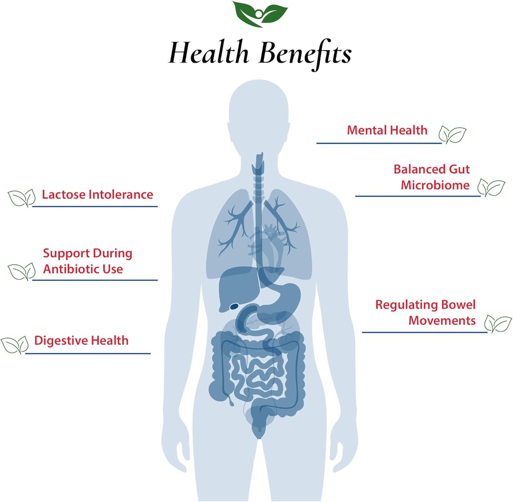foods-for-gut-lactobacillus-acidophilus--4.jpg