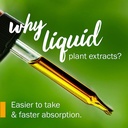 herb-pharm-witch-hazel-liquid-extract-1--3.jpg