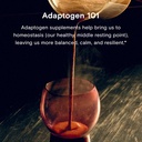 ashwagandha-by-moon-juice---organic-ashw-5.jpg