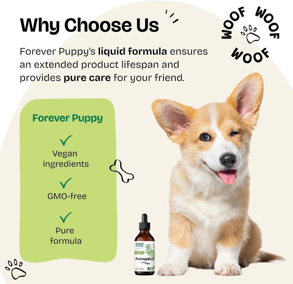 astragalus-root-drops-for-dogs---astraga-6.jpg
