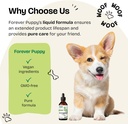 astragalus-root-drops-for-dogs---astraga-6.jpg