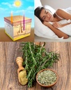oxidative-stress-relief-formula-by-waybe-3.jpg