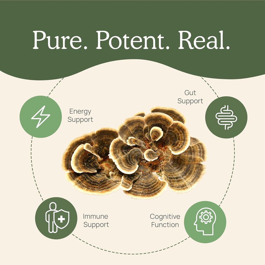 real-mushrooms-immune-support-cognition--4.jpg