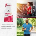 bee-and-you-energy-x-shot-12-pack-korean-2.jpg