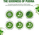 dabur-pudin-hara-active-30-ml---pet-bott-3.jpg
