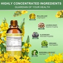 mullein-drops-for-lungs-lymphatic-draina-3.jpg