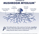 host-defense-mycommunity-extract---17-sp-6.jpg