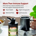 barleans-peppermint-olive-leaf-complex-l-4.jpg