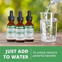 nutramedix-parsley-herbal-supplement---p-6.jpg