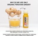gngr-energy-booster-immunity-shot-cold-p-5.jpg