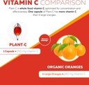 organic-vitamin-c-liquid---250-mg-whole--4.jpg