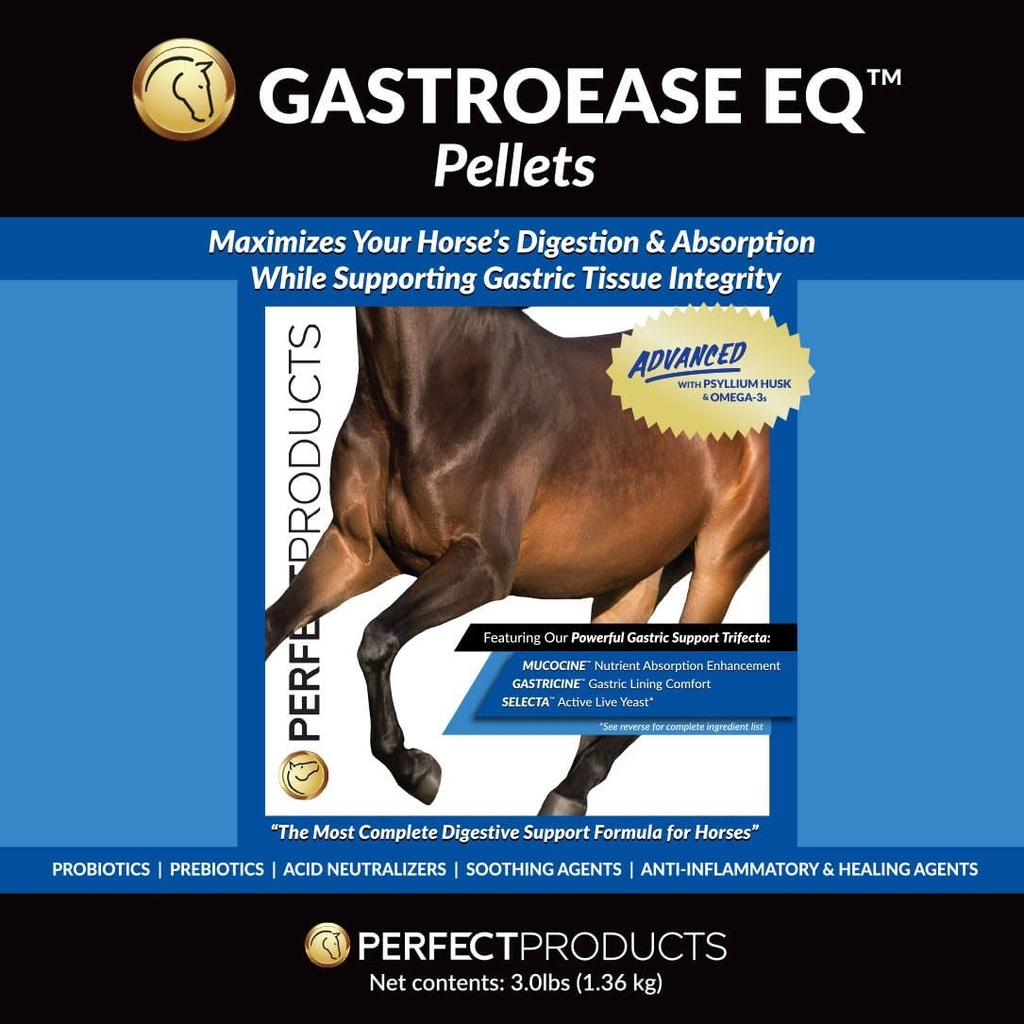 perfect-products-eq-gastroease-advanced--5.jpg