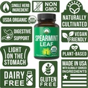 usda-organic-spearmint-capsules-organic--4.jpg