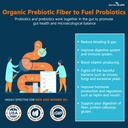gut-health-anti-aging-bundle-2-bottles-o-3.jpg