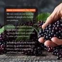 dr-appleseeds-organic-elderberry-syrup-m-6.jpg