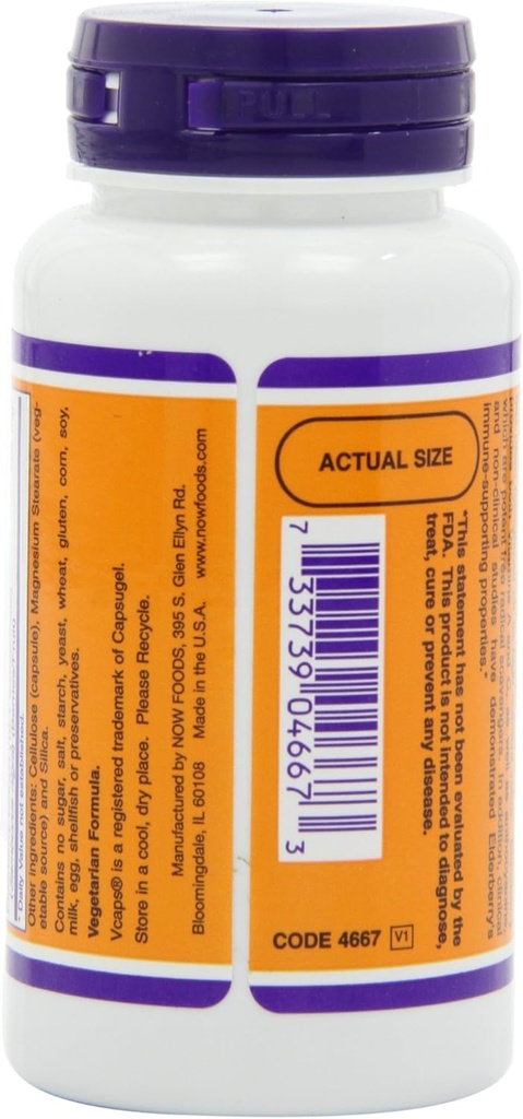 now-foods-elderberry-500-milligrams-60-v-4.jpg
