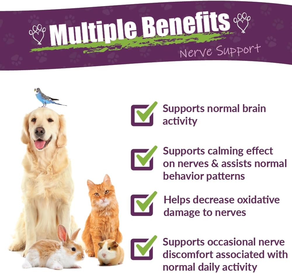 amber-naturalz-dermanerv-herbal-suppleme-2.jpg