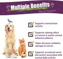 amber-naturalz-dermanerv-herbal-suppleme-2.jpg
