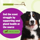 pet-naturals-scoot-bars-for-dogs-digesti-2.jpg
