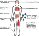 krampade-fiber-supplement-electrolytes-p-5.jpg