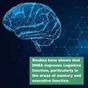 lifelink-dhea-monodea-dehydroepiandroste-2.jpg