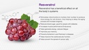 daily-multi-vitamin-vit-a-c-b1-b2-b3-b5--5.jpg