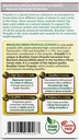 labo-nutrition-brazilian-green-propolis--2.jpg