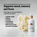 rainbo---lions-mane-mushroom-tincture----2.jpg