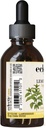 eclectic-institute-kids-herbs-lemon-balm-4.jpg