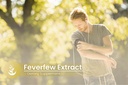 pure-original-ingredients-feverfew-extra-5.jpg
