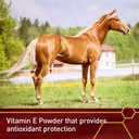 pro-e-5000-premium-quality-horse-vitamin-4.jpg
