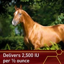 pro-e-5000-premium-quality-horse-vitamin-5.jpg