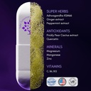 purple-tree-celebrate-next-day-bundle-12-5.jpg