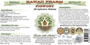 figwort-alcohol-free-liquid-extract-orga-2.jpg