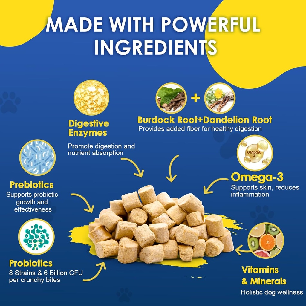 probiotics-for-dogs---dog-probiotics-for-6.jpg