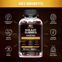 shilajit-gummies-1000mg-pure-shilajit-re-2.jpg