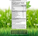 irwin-naturals-double-potency-ginkgo-bil-2.jpg