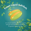 irwin-naturals-double-potency-ginkgo-bil-6.jpg