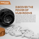 mushroom-supplement-capsules-101-extract-4.jpg