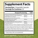 mushroom-almaneac-nootropics-brain-suppo-2.jpg