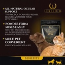 vision-support-eye-sight-supplement-for--2.jpg