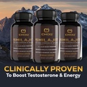 choq-shilajit---over-50-fulvic-acid-500--3.jpg