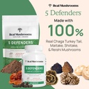 real-mushrooms-5-defenders-mushroom-comp-2.jpg