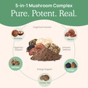 real-mushrooms-5-defenders-mushroom-comp-3.jpg