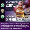 bronson-grape-seed-extract-400-mg---anti-3.jpg